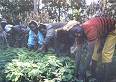 Kenya needs your help